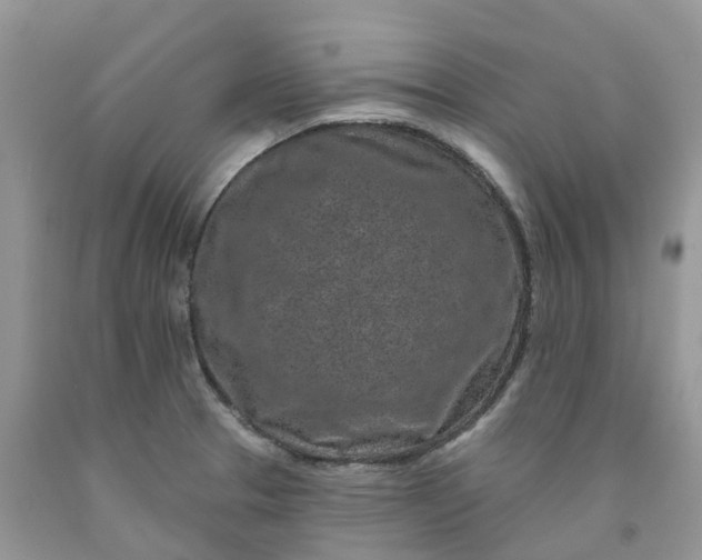 X0000091671329200709061034