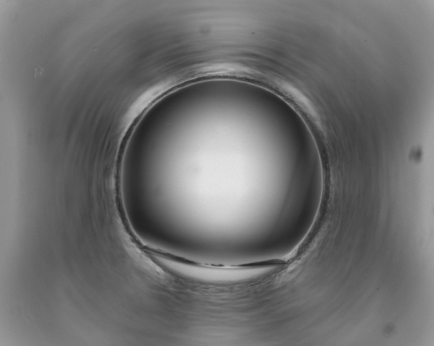 X0000091671330200709061034