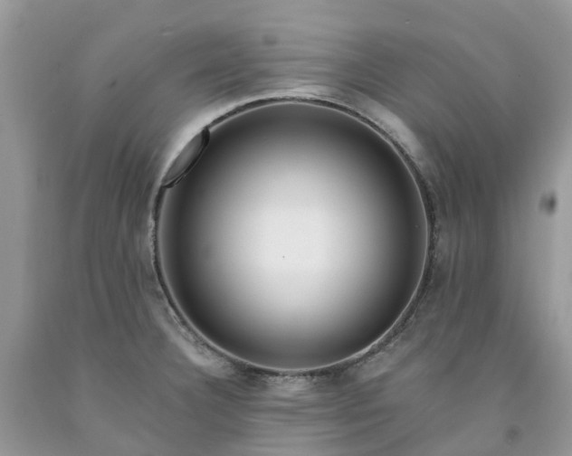 X0000091671332200709061034