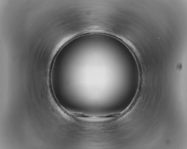 X0000091671333200709061034
