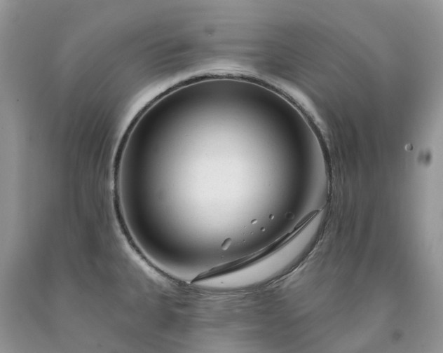 X0000091671335200709061034