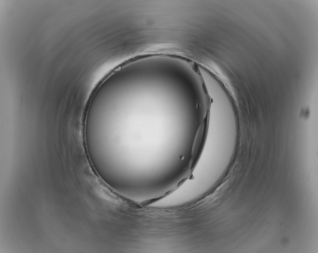 X0000091671336200709061034