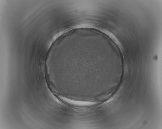 X0000091671337200709061034