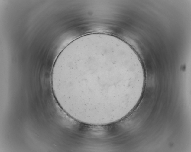 X0000091671338200709061034