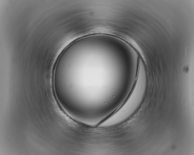 X0000091671339200709061034
