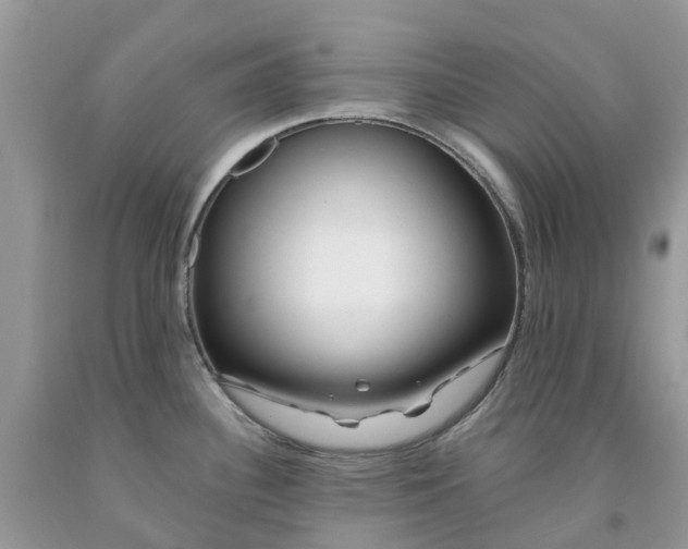 X0000091671340200709061034
