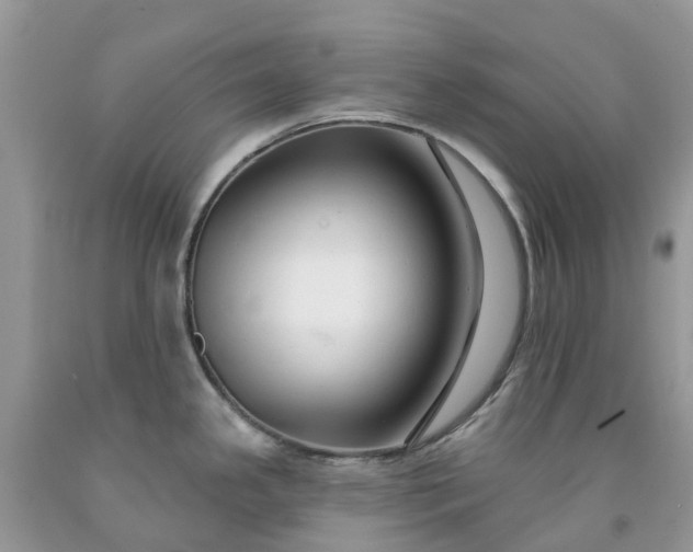 X0000091671341200709061034