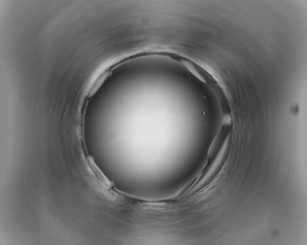 X0000091671342200709061034