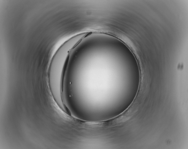 X0000091671344200709061035