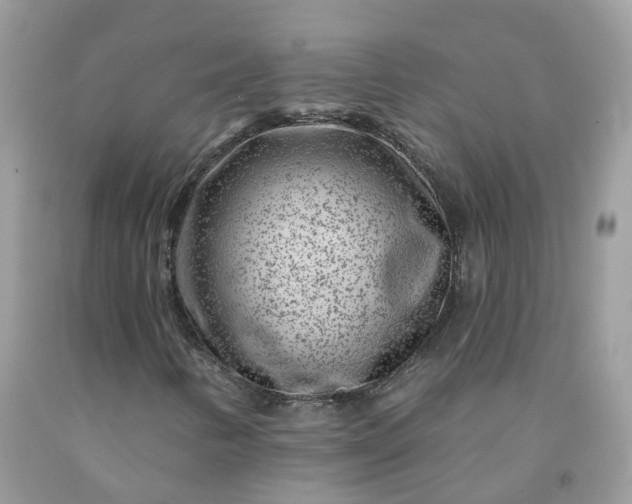X0000091671346200709061034