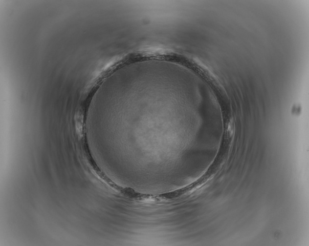 X0000091671348200709061034