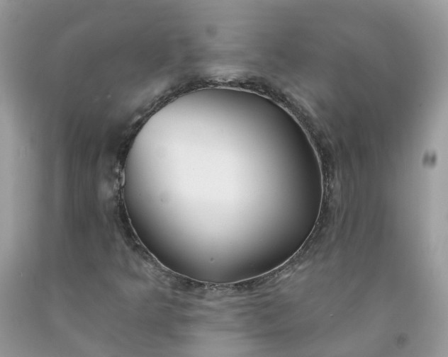 X0000091671349200709061034