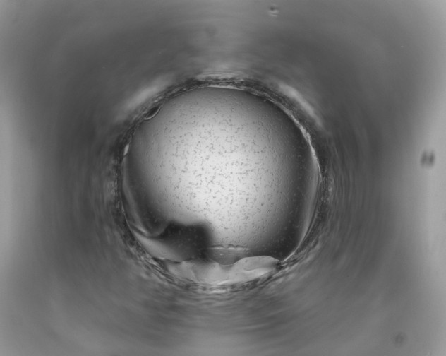 X0000091671350200709061034