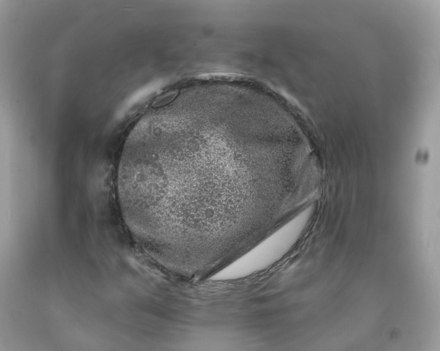 X0000091671351200709061034