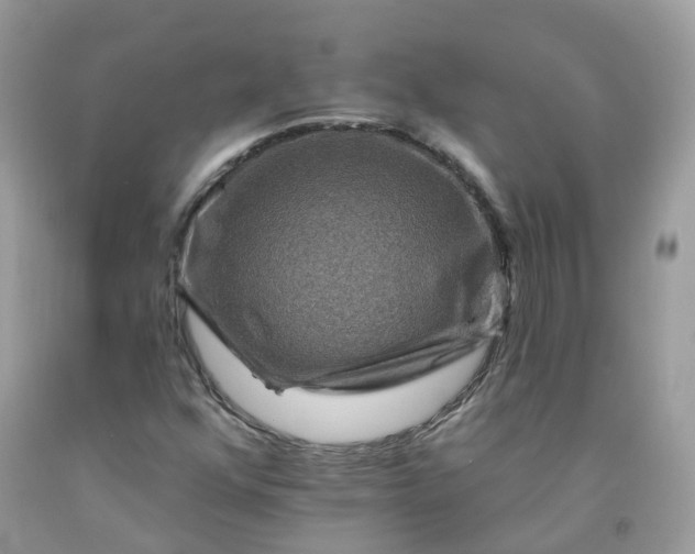X0000091671352200709061034