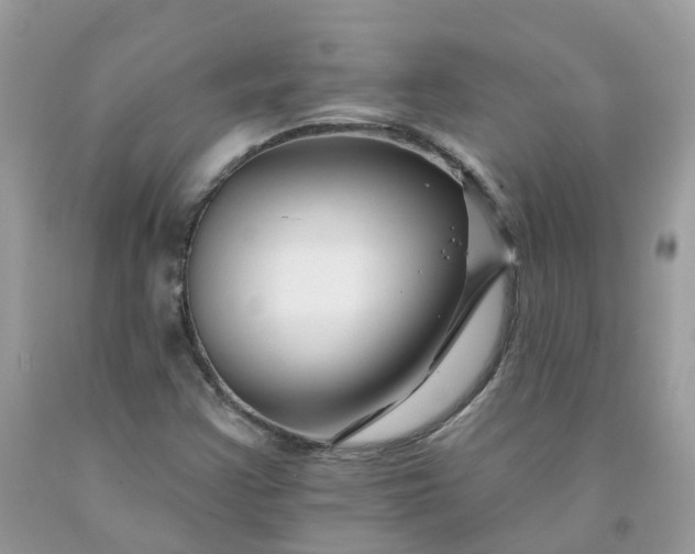 X0000091671355200709061034