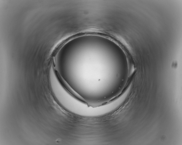 X0000091671356200709061034