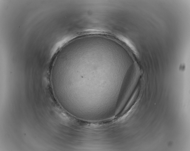 X0000091671357200709061034