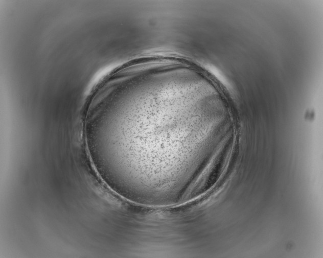 X0000091671358200709061034