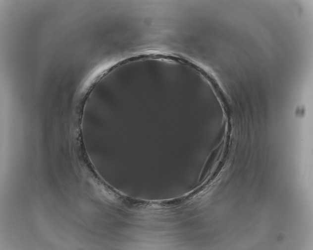 X0000091671359200709061034