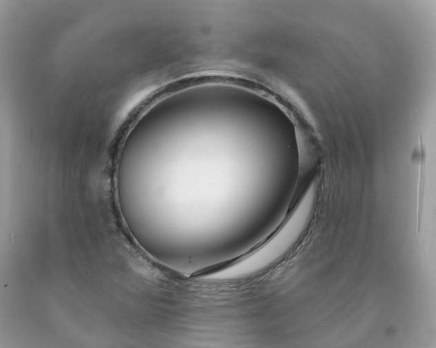 X0000091671360200709061034