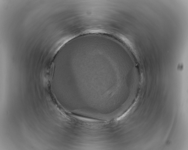 X0000091671361200709061034