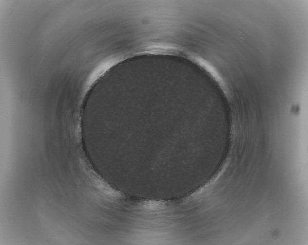 X0000091671362200709061034