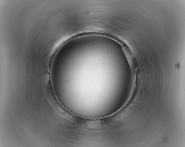 X0000091671363200709061034