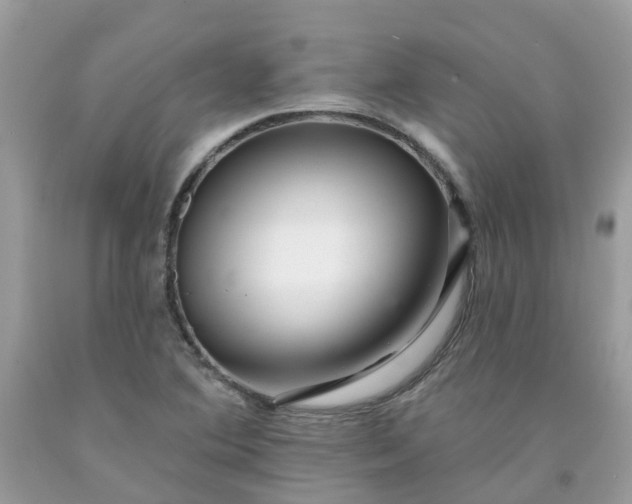X0000091671364200709061034