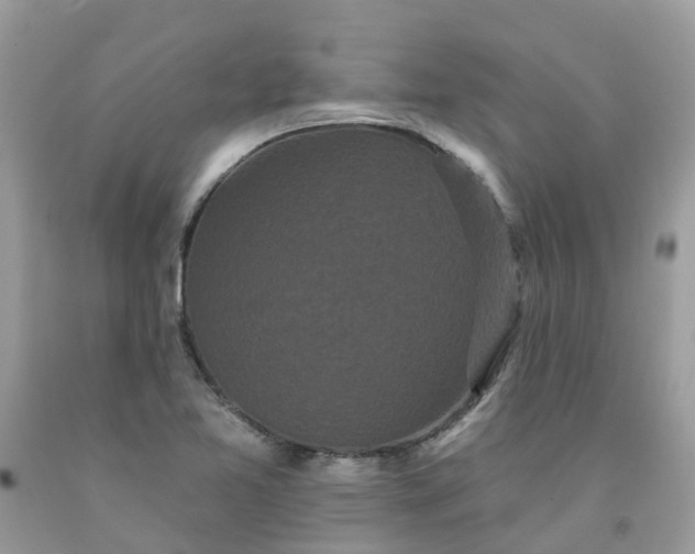 X0000091671365200709061034