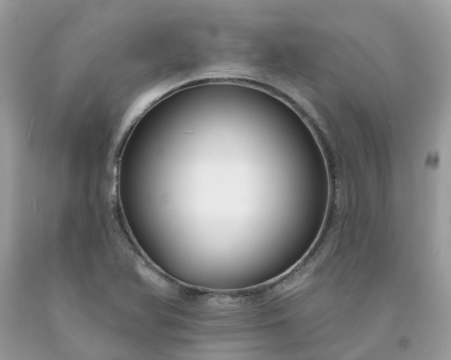 X0000091671366200709061034
