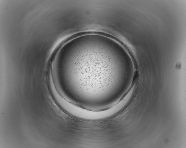 X0000091671368200709061033