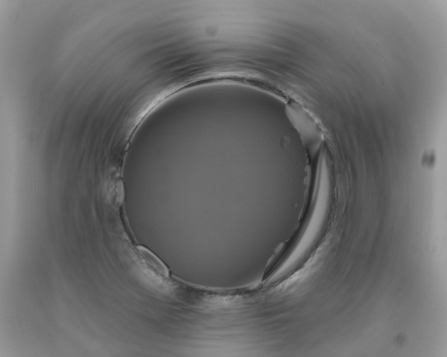 X0000091671369200709061033