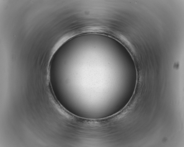 X0000091671370200709061033