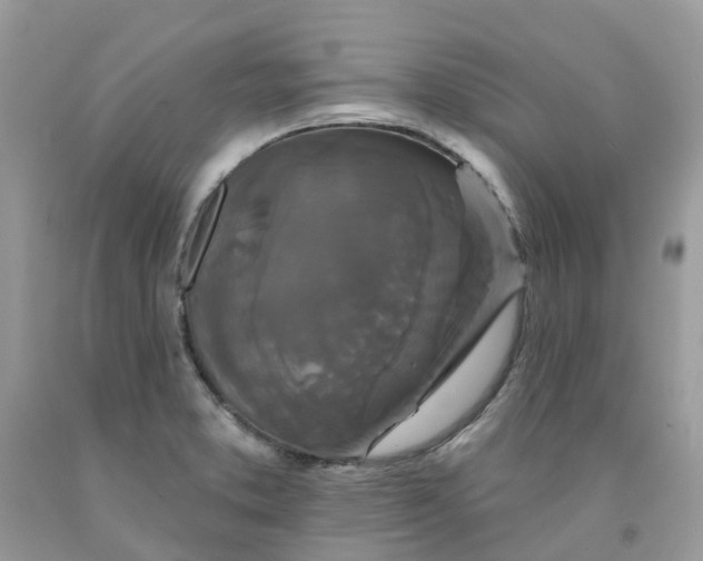 X0000091671373200709061033