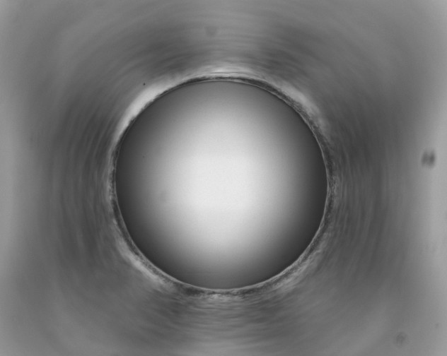 X0000091671374200709061033