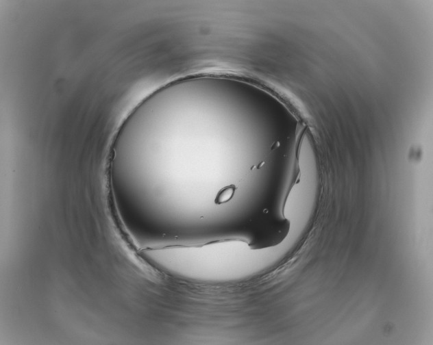 X0000091671375200709061033