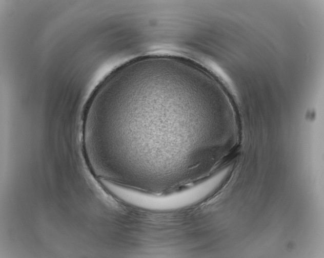 X0000091671376200709061033