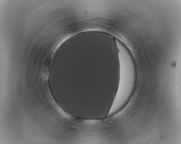 X0000091671377200709061033