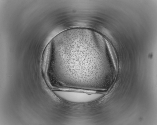 X0000091671378200709061033