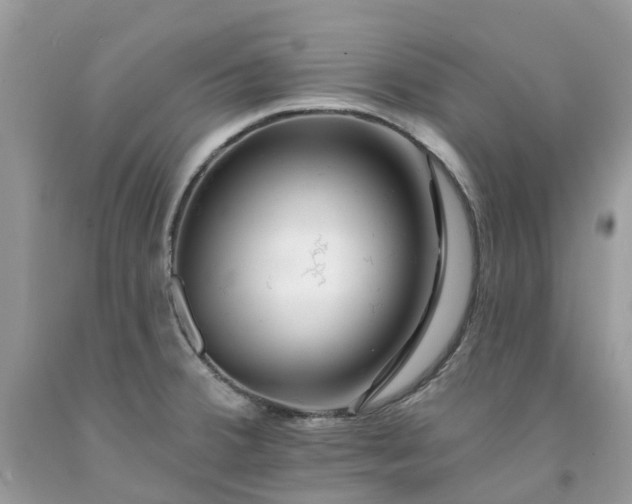 X0000091671380200709061033