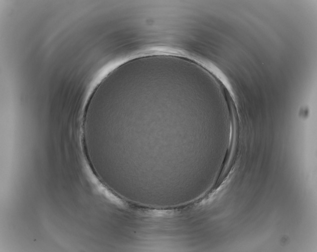 X0000091671381200709061033