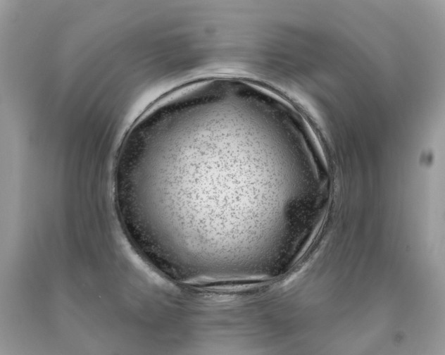 X0000091671382200709061033