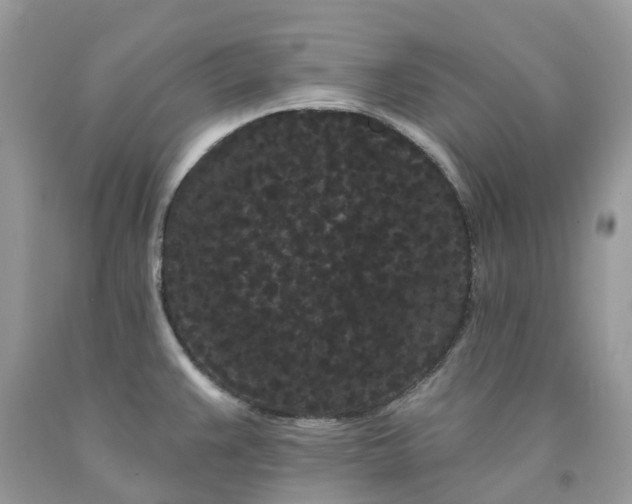 X0000091671383200709061033