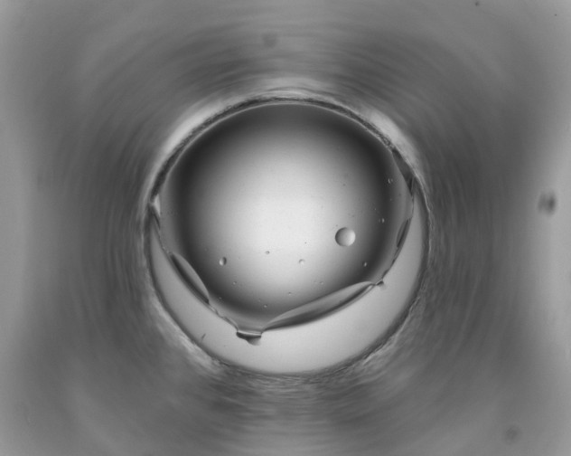 X0000091671384200709061033