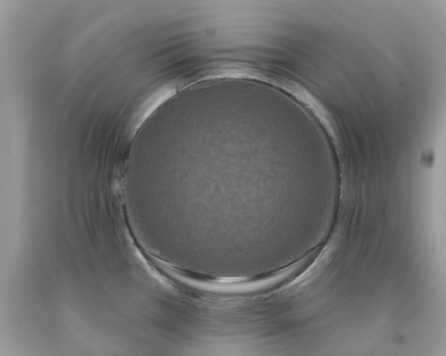 X0000091671385200709061033