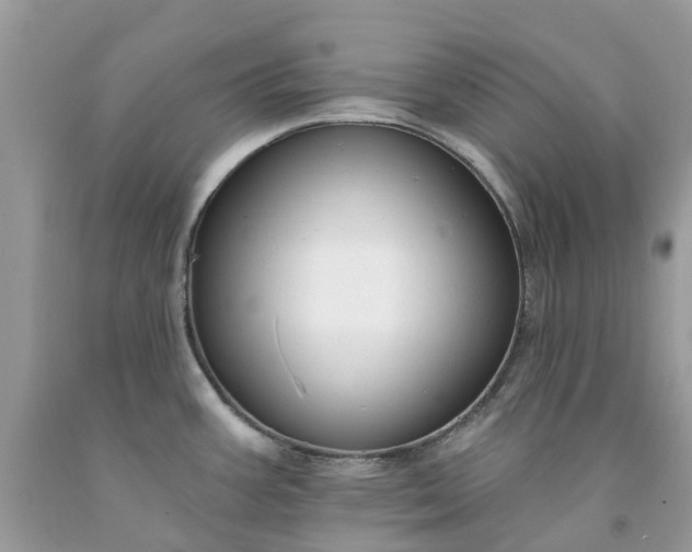 X0000091671387200709061033