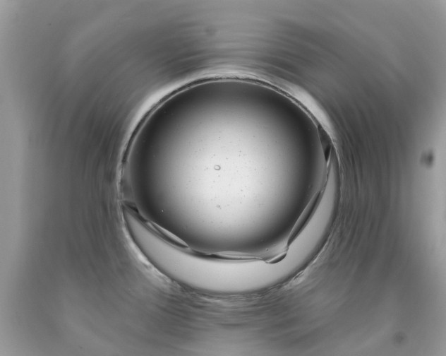 X0000091671388200709061033