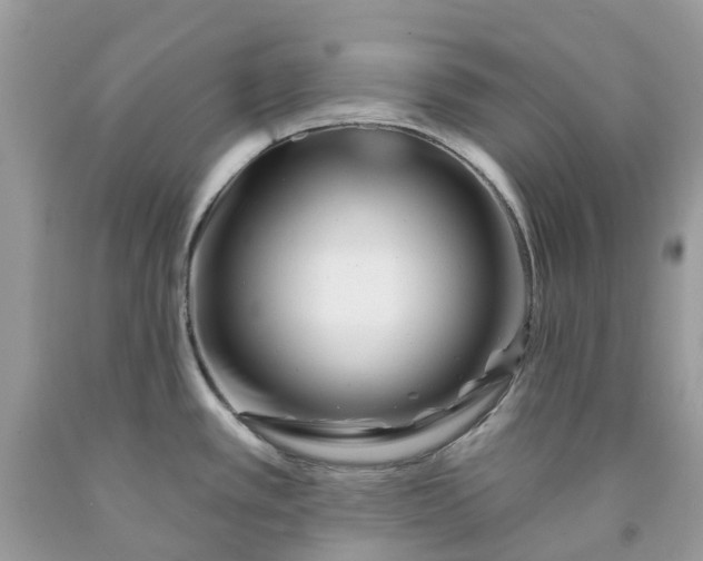X0000091671389200709061033