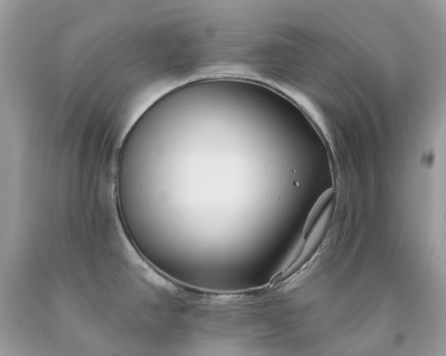 X0000091671390200709061033